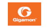 Gigamon Inc.