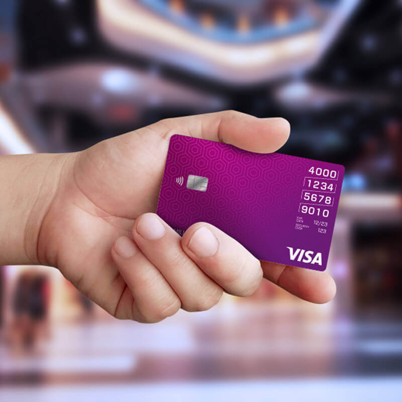 Person holding visa financial card